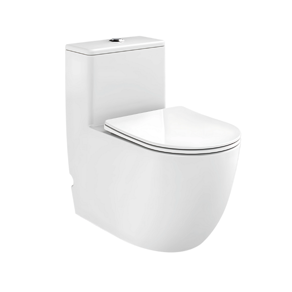 BỒN CẦU LIỀN KHỐI TOZU T2303VP19